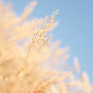 扣逼喷水视视频
